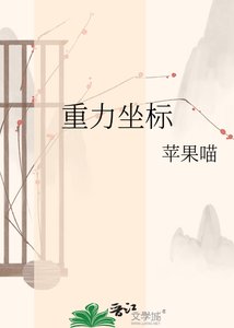《重力坐标》