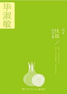 切开忧郁的洋葱(出版书)