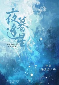 《夜暮逢星》