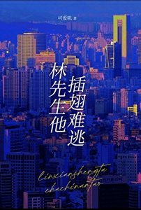 《林先生他插翅难逃》
