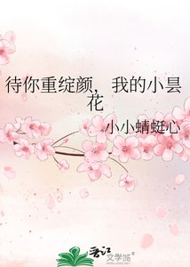 《待你重绽颜,我的小昙花》