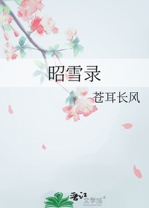 《昭雪录》