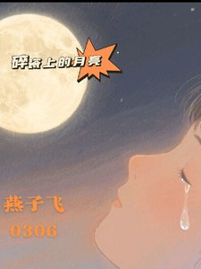 碎瓷上的月亮