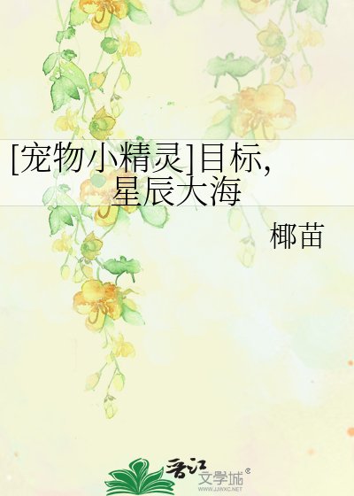 （PM同人）[宠物小精灵]目标，星辰大海