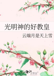 《光明神的好教皇》