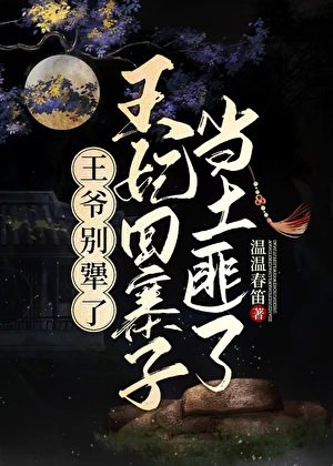 《王爷别犟了,王妃回寨子当土匪了》