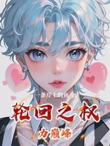 《轮回之权力巅峰》