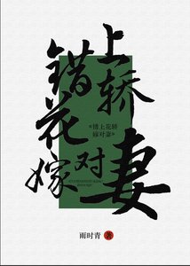 《错上花轿嫁对妻(女尊)》