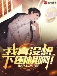 《我真没想下围棋啊!》