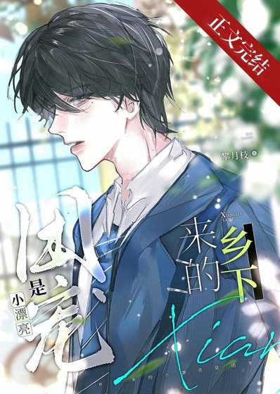 《乡下来的小漂亮是团宠》