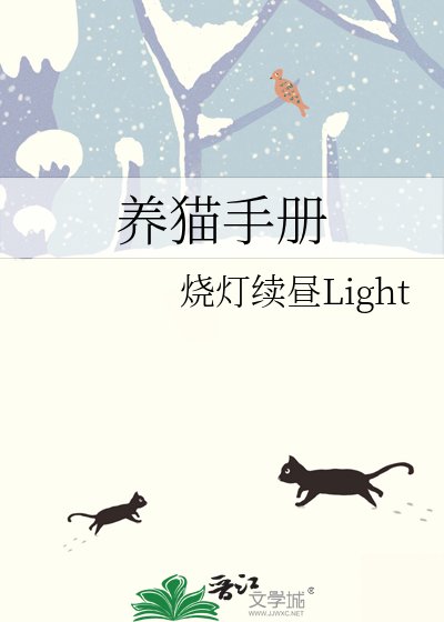 养猫手册