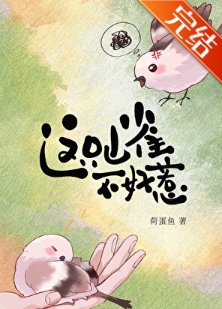 这只山雀不好惹