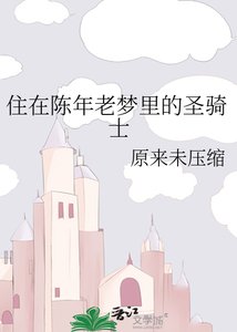 《住在陈年老梦里的圣骑士》
