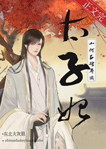 《太子次妃如何正确升职》