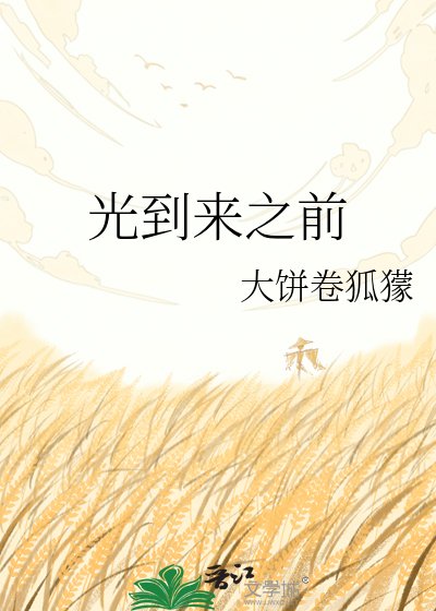 《光到来之前》