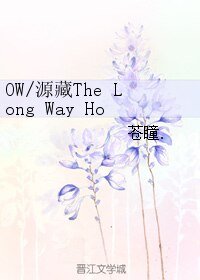 《(BL/守望先锋同人)OW/源藏The Long Way Home》