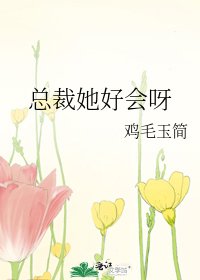 《总裁她好会呀》