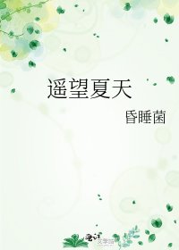 《遥望夏天》