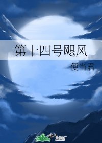 第十四号飓风