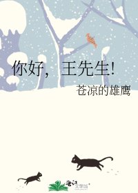 《你好,王先生!》