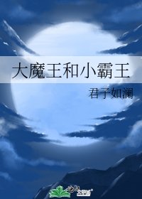 《大魔王和小霸王》