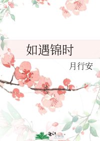 如遇锦时