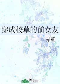 《穿成校草的前女友》