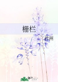《栅栏》
