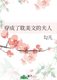 《穿成了耽美文的夫人》
