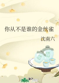 《你从不是谁的金丝雀》