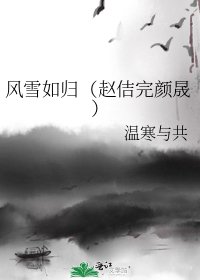《风雪如归(赵佶完颜晟)》