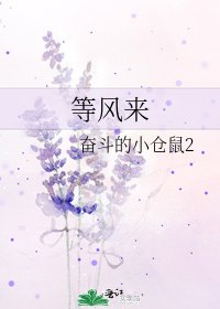 《等风来》