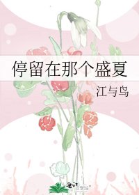 《停留在那个盛夏》