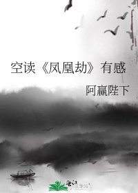 《凤凰劫》