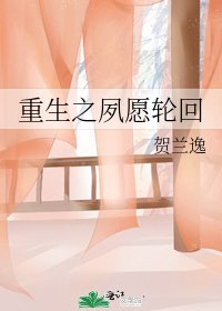 《重生之夙愿轮回》