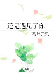 《还是遇见了你》