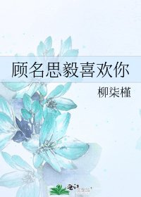 《顾名思毅喜欢你》