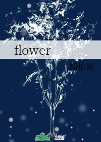 《flower》