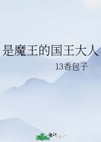 《是魔王的国王大人》