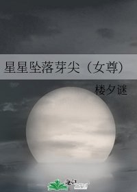 《星星坠落芽尖(女尊)》