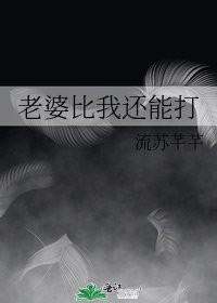 《老婆比我还能打》