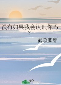 《没有如果我会认识你吗?》