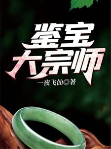 《鉴宝大宗师》