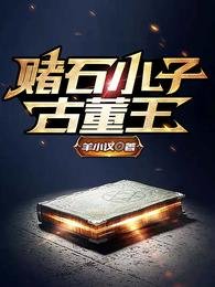 《赌石小子古董王》
