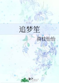 《追梦笙》