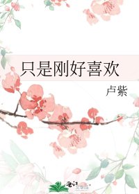 《只是刚好喜欢》