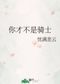 《你才不是骑士》