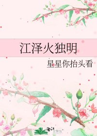 《江泽火独明》
