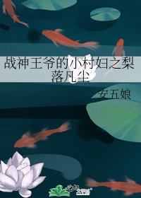 《战神王爷的小村妇之梨落凡尘》