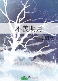 不羡明月